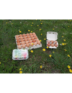 Organic eggs (2 dozens)