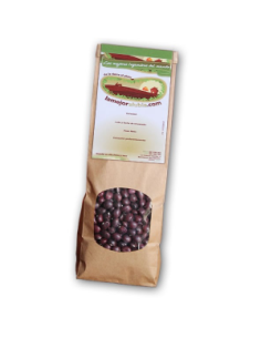 Mongeta morada ibea (CARICO) 1 Kg - Productos Leoneses Online