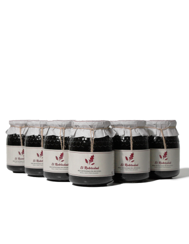 Mel del bosc d'Almanza (6 unitats) - Productos Leoneses Online