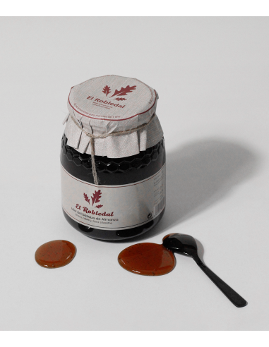 Miel del Bosque de Almanza (500gr.)