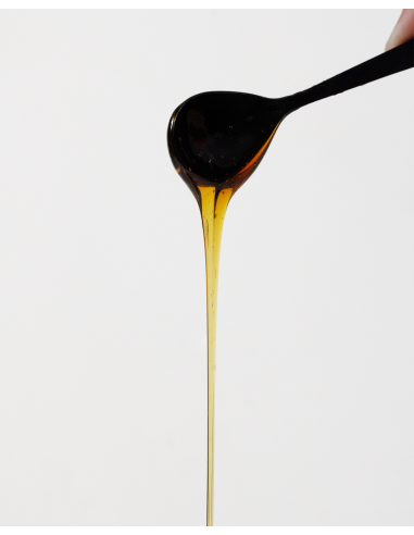 Miel del Bosque de Almanza (6 Uds)