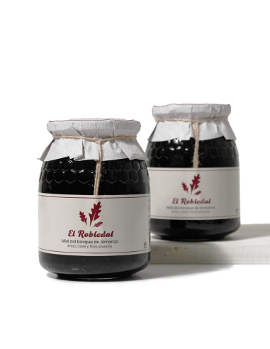 Mel del Bosc d'Almanza (2 unitats) - Productos Leoneses Online
