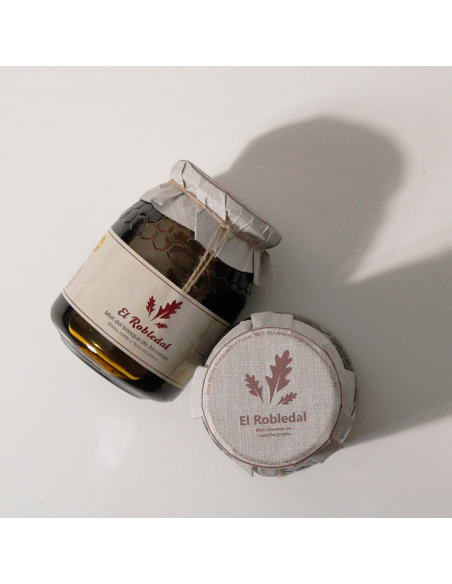 Mel del Bosc d'Almanza (2 unitats) - Productos Leoneses Online