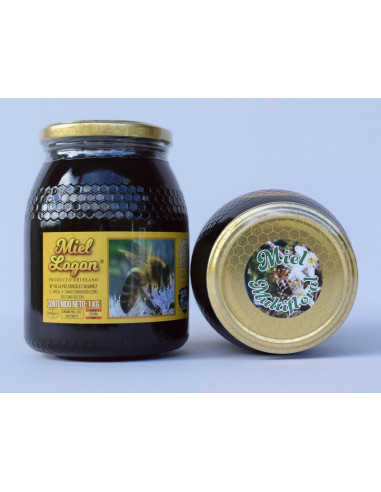 Miel multifloral Pack 2kg