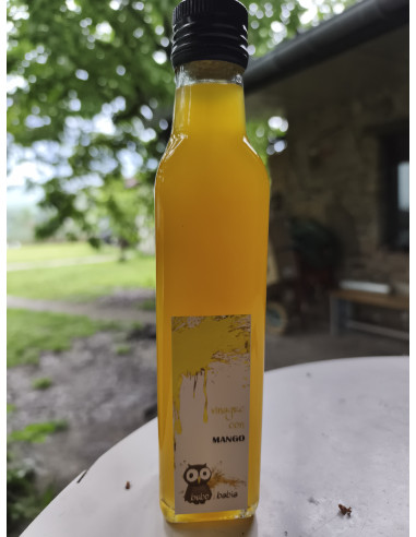 Vinagre de mango 250ml - Productos Leoneses Online