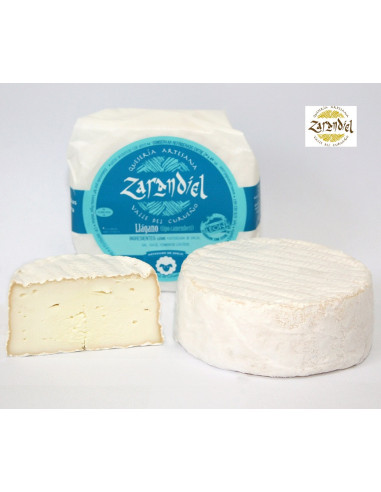 Llágano Camembert motakoa - Productos Leoneses Online