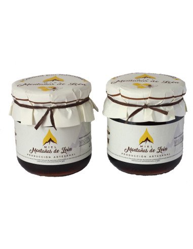 Leóngo mendietako eztia 2x430gr - Productos Leoneses Online