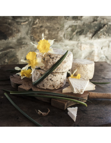 Quesín de cabra (500 gr.)