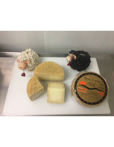 Queso curado (250 gr.)