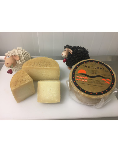 Queso curado (500 gr.)