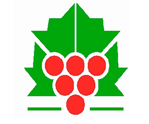 Bodegas Cepas del Bierzo